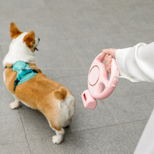 Anti-burst Retractable Pet Leash