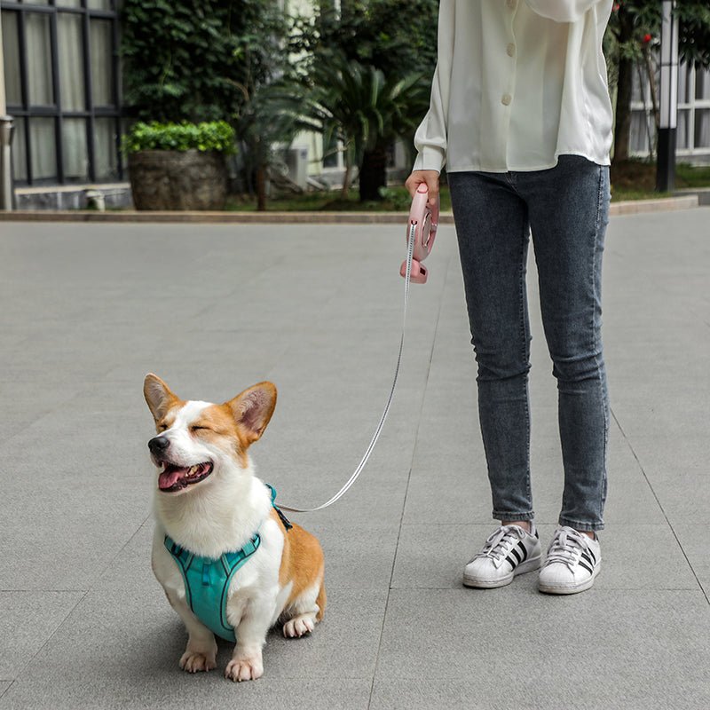 Anti-burst Retractable Pet Leash