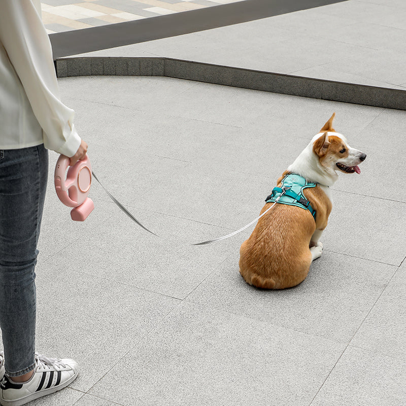 Anti-burst Retractable Pet Leash