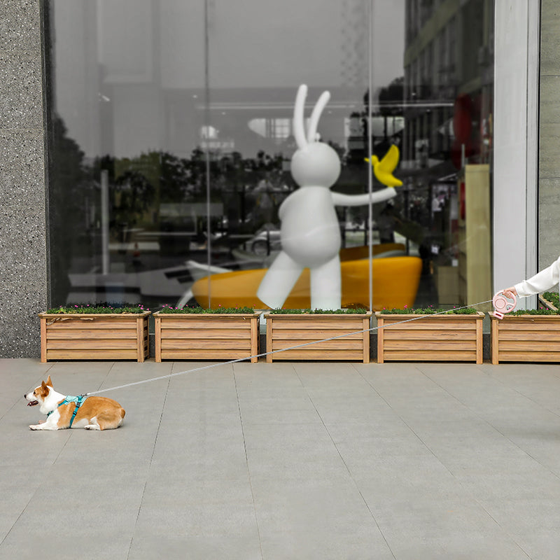 Anti-burst Retractable Pet Leash