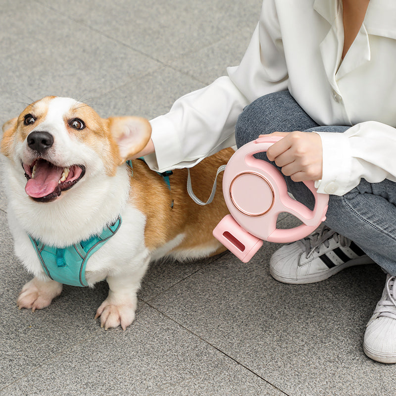 Anti-burst Retractable Pet Leash