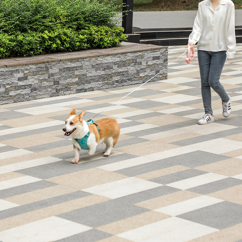 Anti-burst Retractable Pet Leash