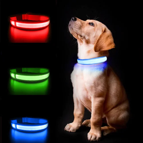 Pet Clothes & Accessories Series – Trendy, Comfortable, and Practical for Every Pet